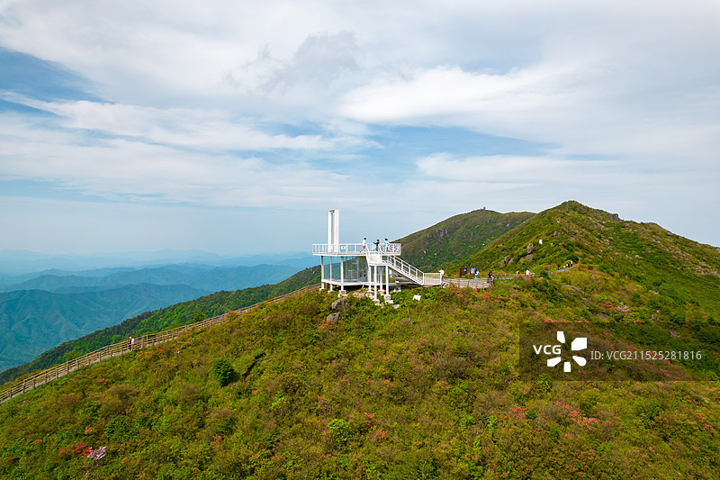 中国湖南省浏阳市大围山森林公园杜鹃花花海航拍视角图片素材