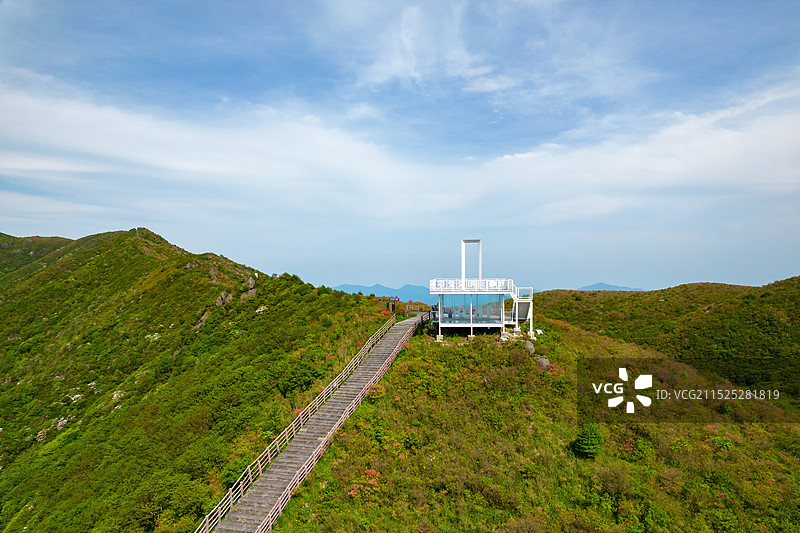 中国湖南省浏阳市大围山森林公园杜鹃花花海航拍视角图片素材