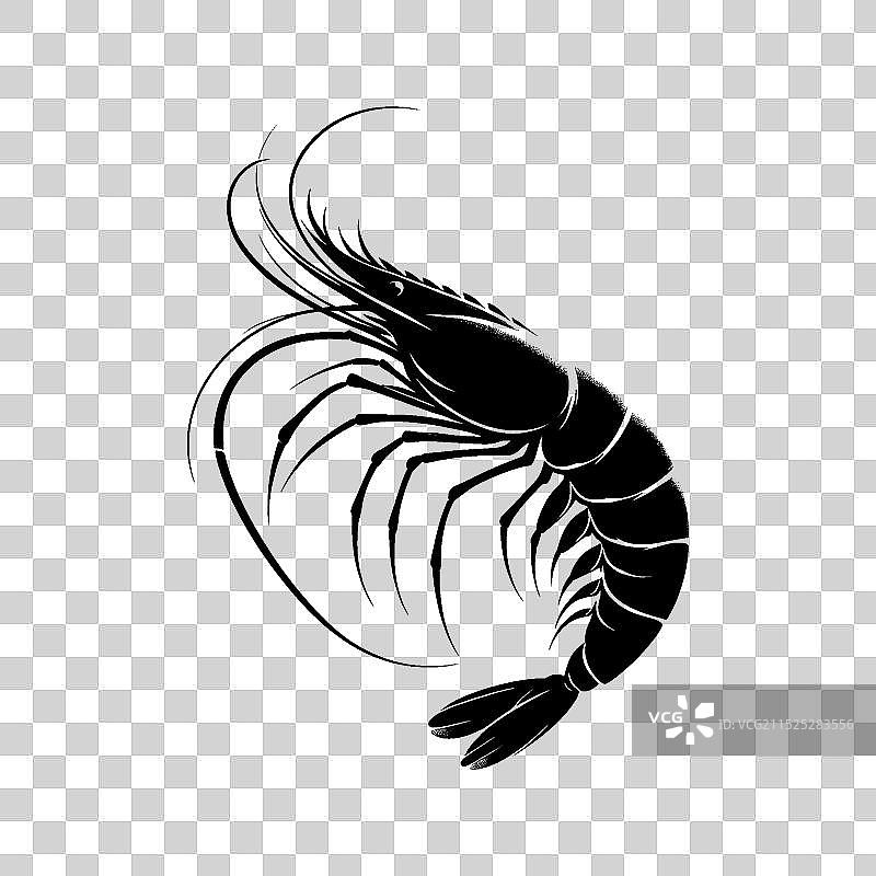 虾轮廓的复杂图案图片素材