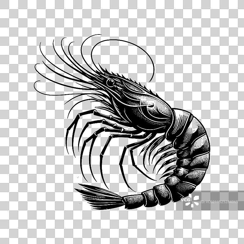 虾剪影的优雅图片素材