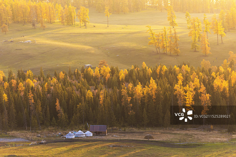 新疆阿勒泰的秋天图片素材