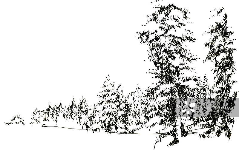 温哥华西温雪景图片素材