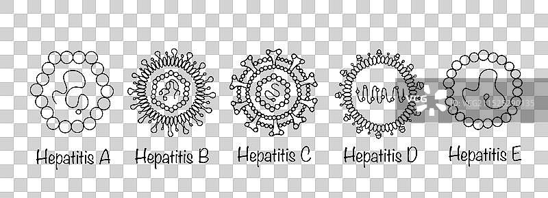 肝炎病毒图片素材