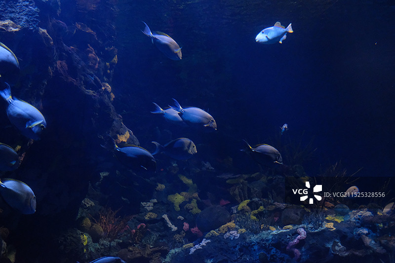 上海长风公园•长风海洋世界景区图片素材