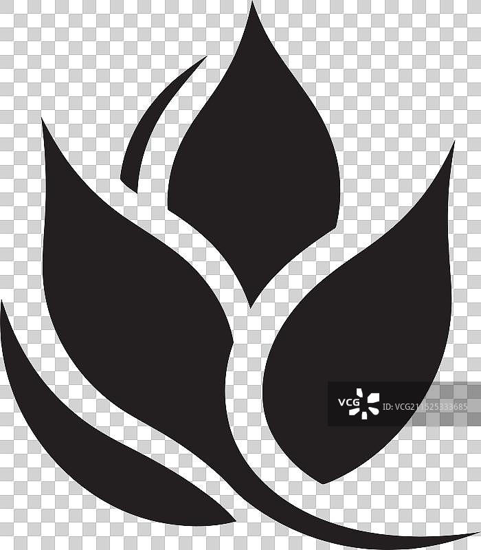 茄科植物优雅黑色花卉图片素材