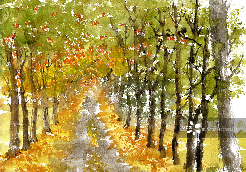 秋季的大道图片素材