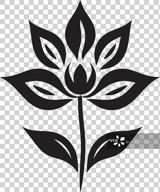 午夜紫菀花与墨色蜀葵图片素材