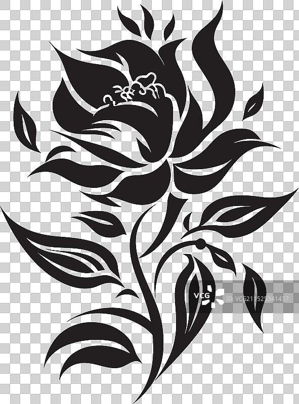 乌木回声暗色花卉月光花卉图片素材