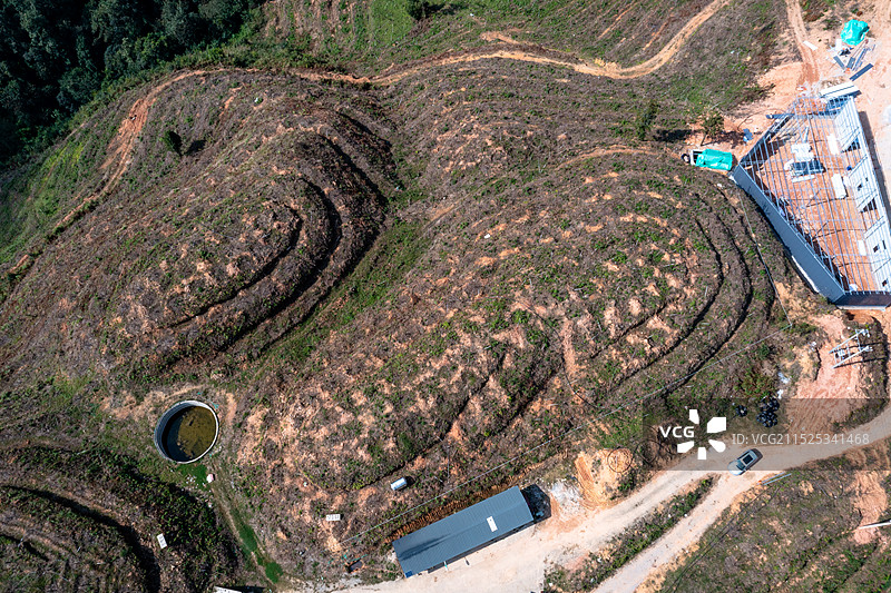 山坡上的梯田 经济作物种植基地图片素材