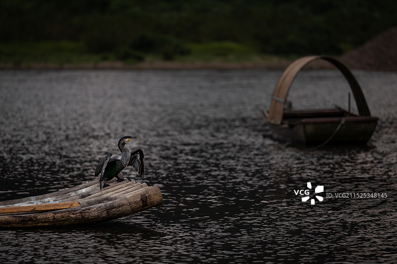 静静的漓江图片素材