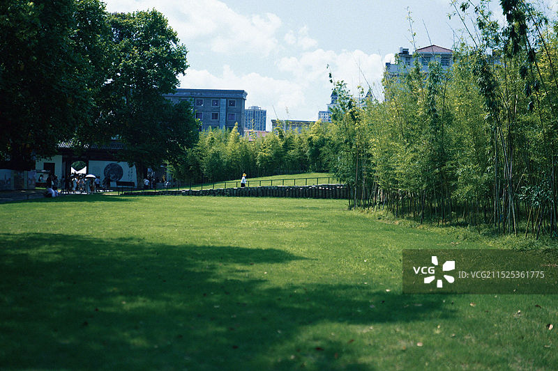 太子湾公园草坪图片素材