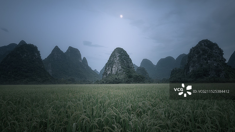 桂林，月光下的稻田图片素材