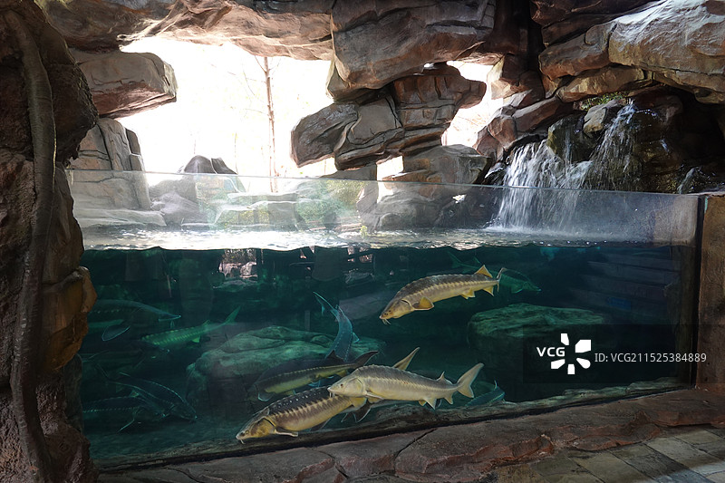 杭州市萧山区少儿公园（杭州极地海洋公园）图片素材