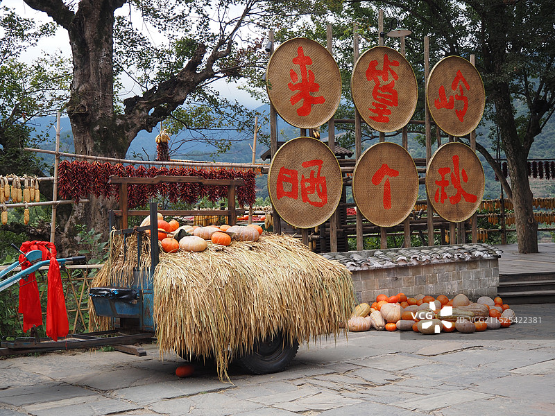 婺源篁岭晒秋图片素材