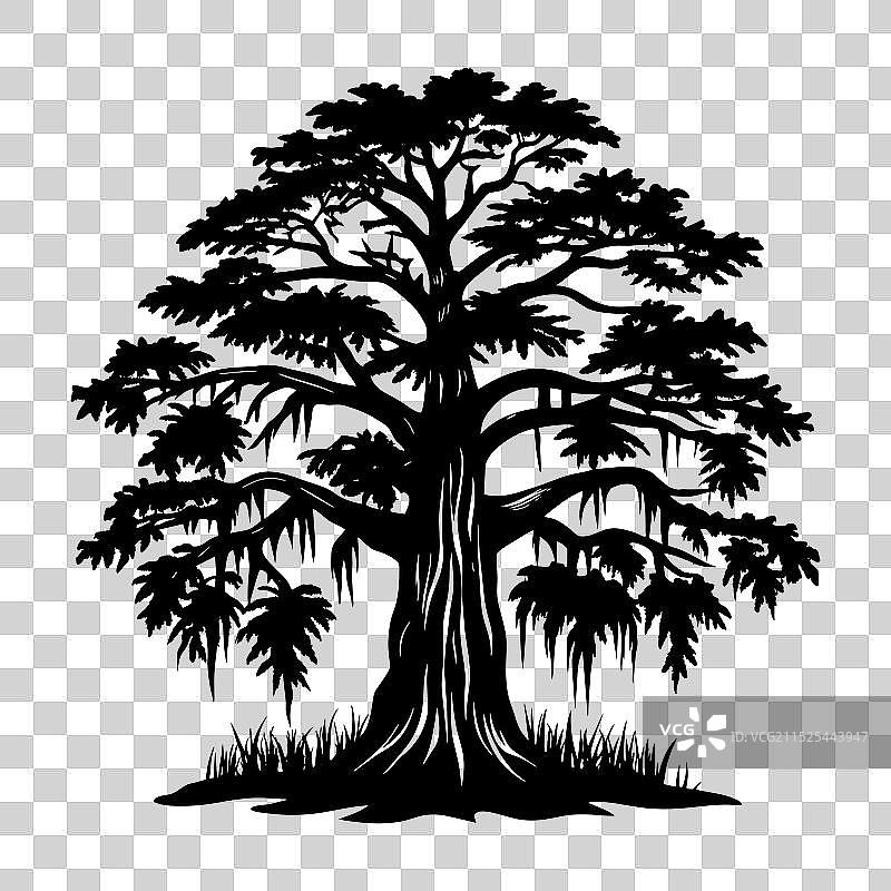 悬铃木树剪影图片素材