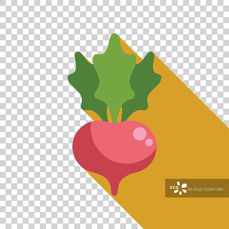 黄色背景上的萝卜叶图片素材