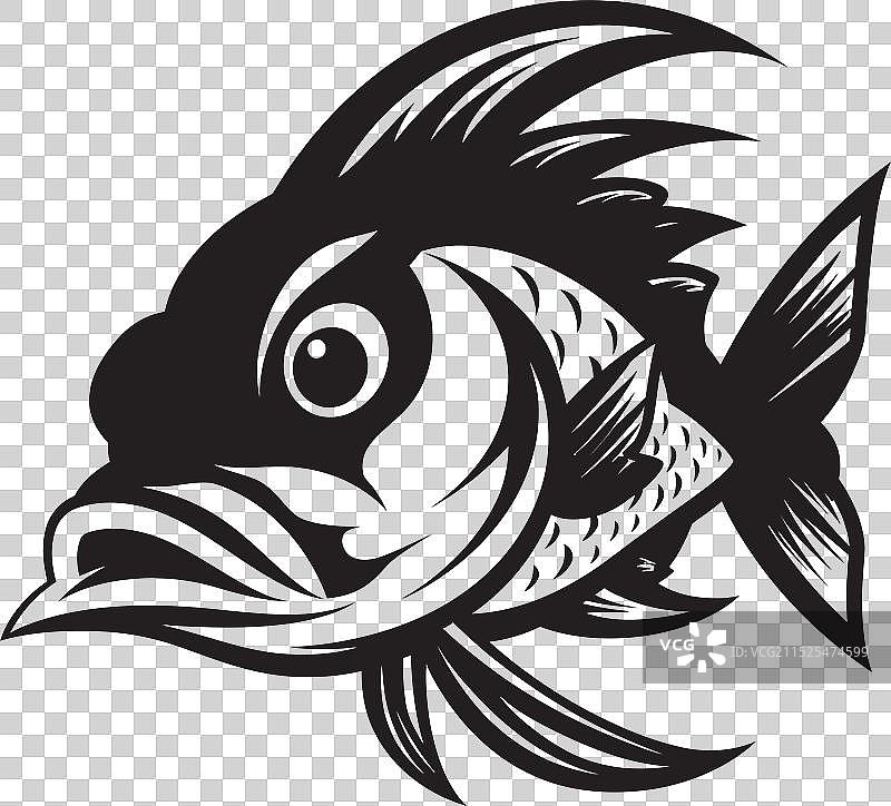 珊瑚色嘉年华黑色标志性热带鱼图片素材