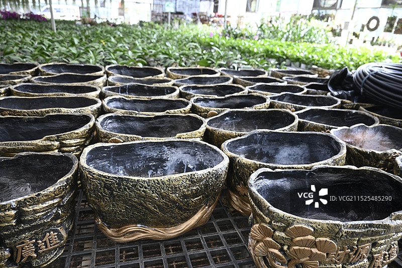 南宁广西八桂田园图片素材