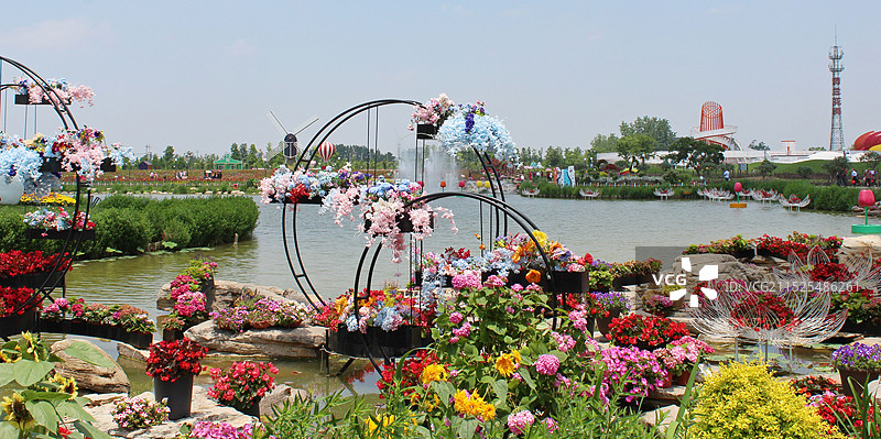 盐城大丰荷兰花海图片素材