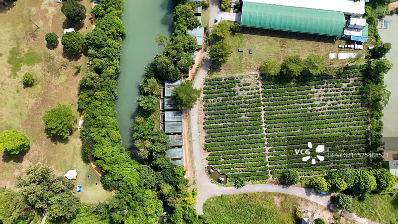 中山市大尖山露营公园景区图片素材
