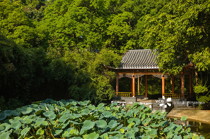 梧州市玫瑰湖公园图片素材