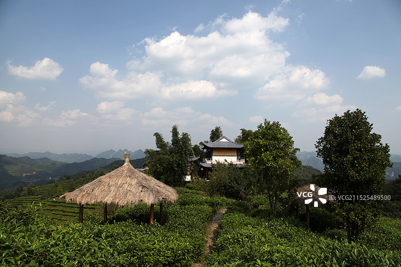 百色凌云茶山金字塔景区图片素材