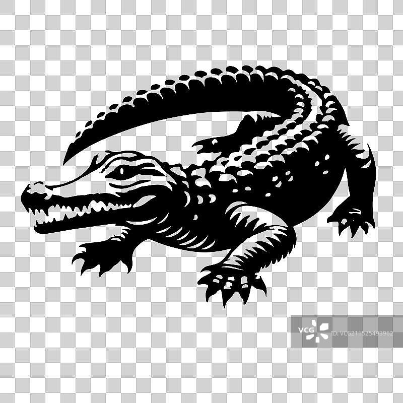 令人惊叹的鳄鱼艺术图片素材