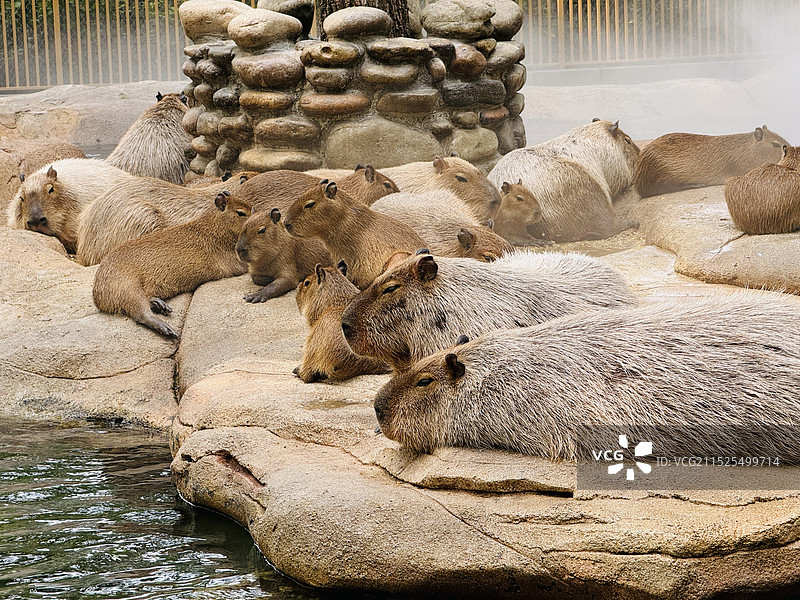 北京大兴野生动物园图片素材