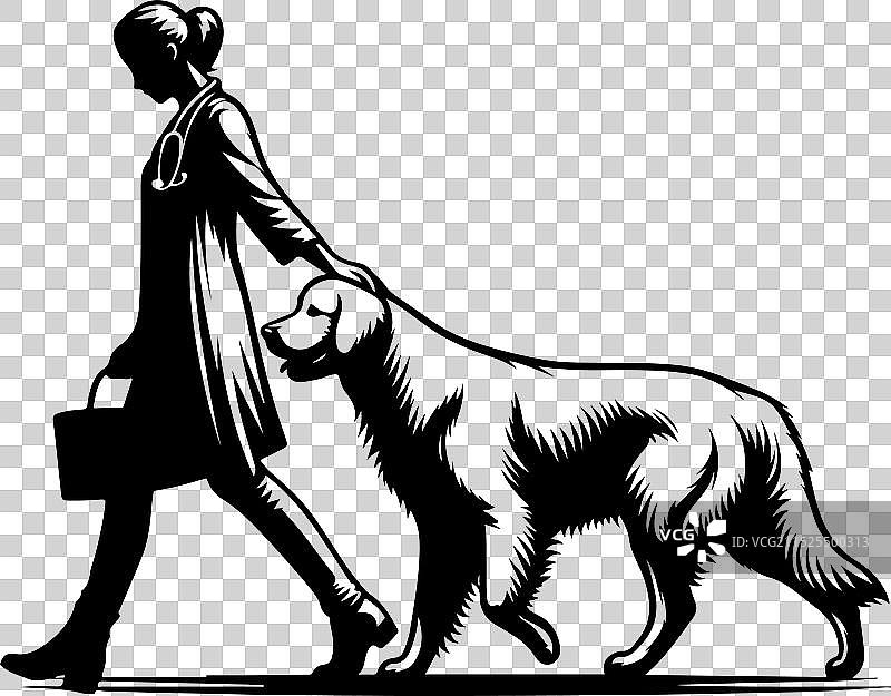 金毛巡回猎犬剪影设计图片素材