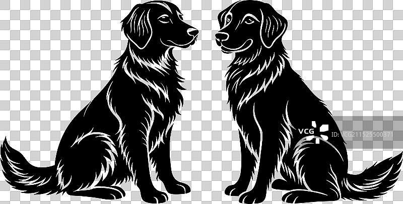 金毛巡回猎犬剪影设计图片素材