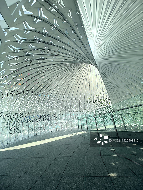 光环鹦鹉螺建筑图片素材