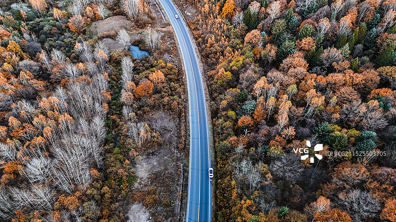 秋日小兴安岭图片素材