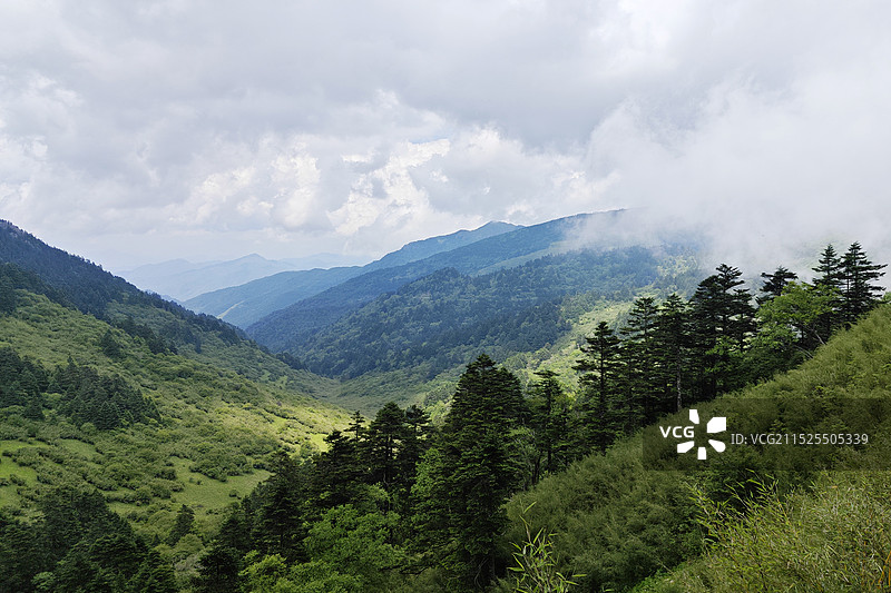 神农架神农顶逐渐散去的雾图片素材