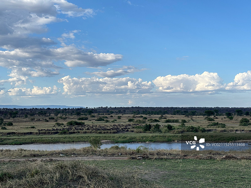 非洲 坦桑尼亚 塞伦盖蒂 恩格罗恩戈罗图片素材
