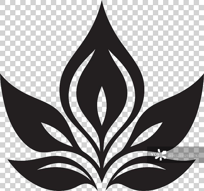 月光花卉和谐时尚黑色花卉图片素材