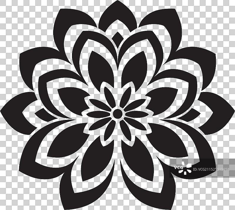 炭黑色花卉艺术之光 IV图片素材