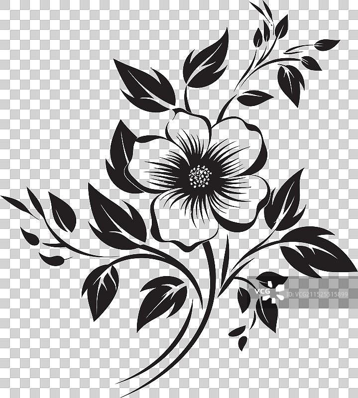 冥河盛开的黑白花卉图片素材