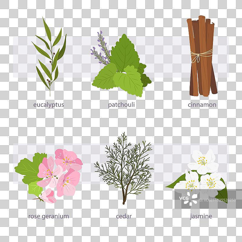 扁平风格精油草药包图片素材