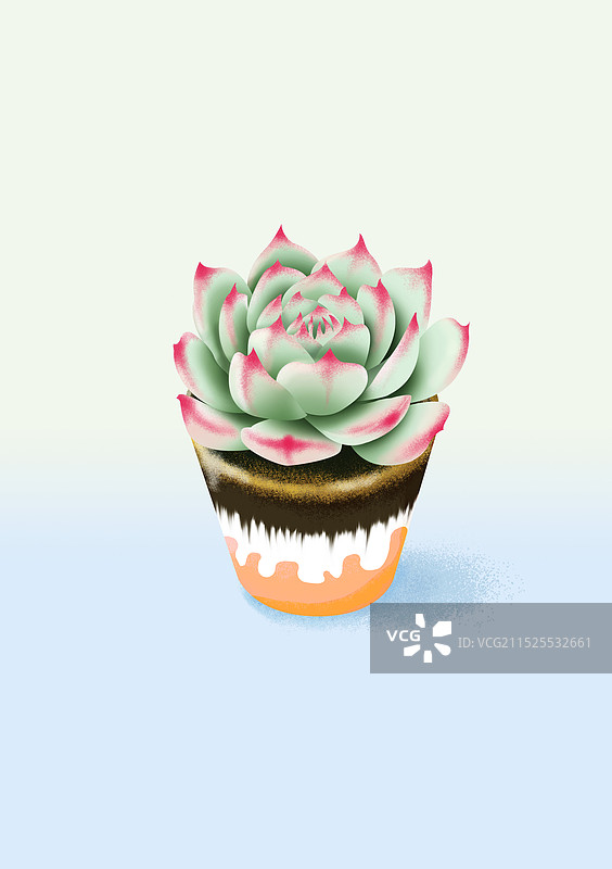 多肉植物psd分层素材图片图片素材