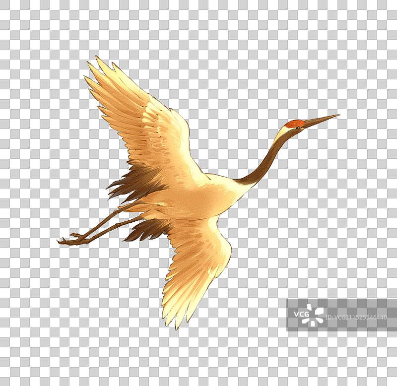 中国风仙鹤元素图片素材