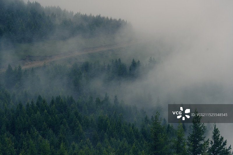 大杂烩图片素材