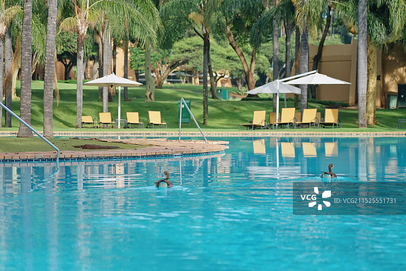 南非太阳城度假村，酒店游泳池图片素材