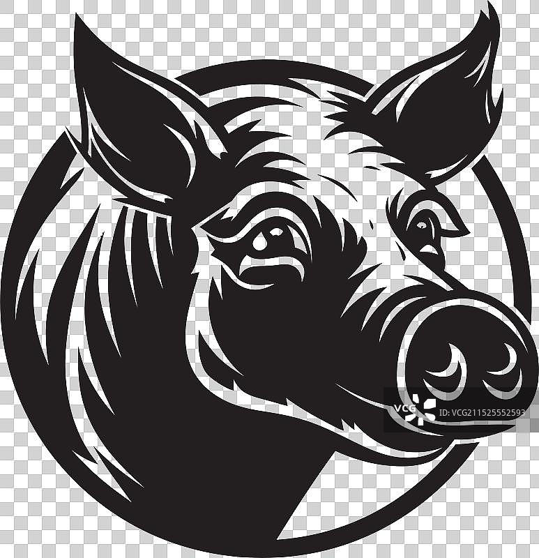 木炭猪蹄黑色小猪插画图片素材