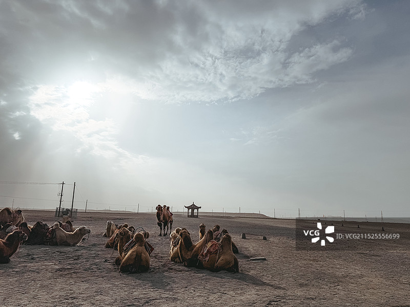 嘉峪关旅拍图片素材