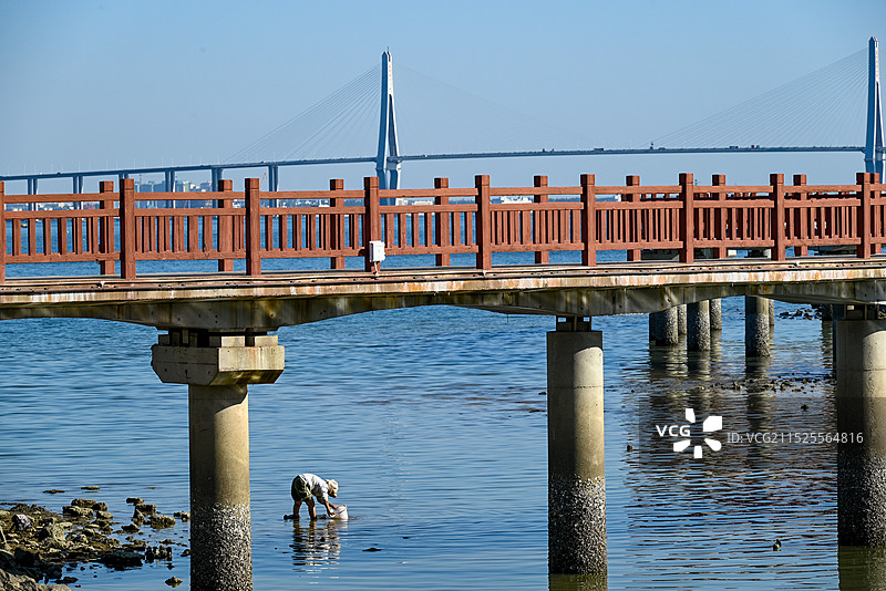 湛江渔民捕鱼图片素材