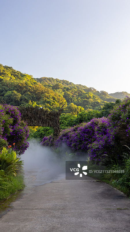 广州二龙山花园图片素材