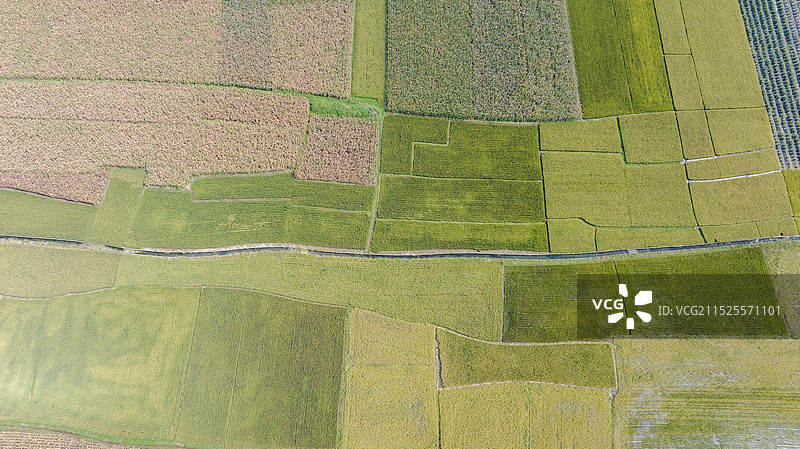 秋天的东北乡村和稻田图片素材