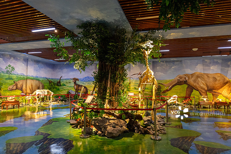 定西临洮县甘肃洮河石文化博览园景区图片素材