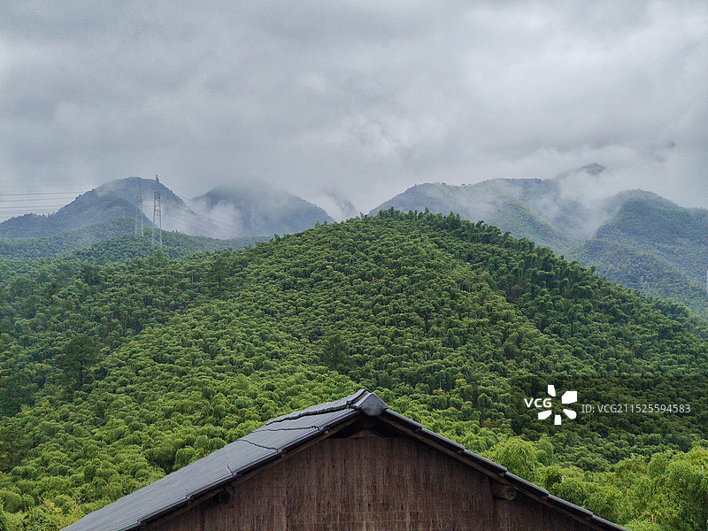 湖州中国竹子博览园图片素材