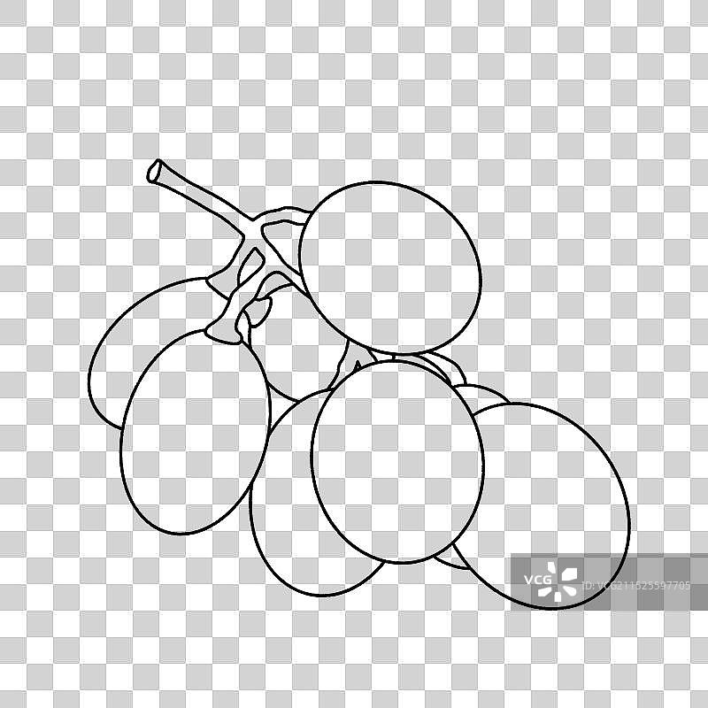 水果-葡萄，阳光玫瑰，提子图片素材